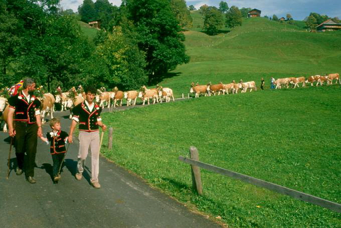 661 Berg hinter Bergen