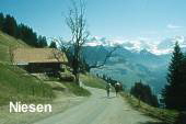 02 Niesen