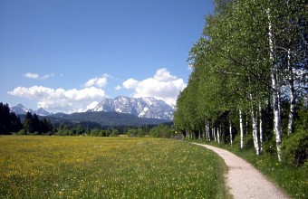 08 Wetterstein u Wiese