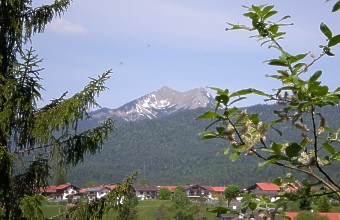 12 Krottenkopf