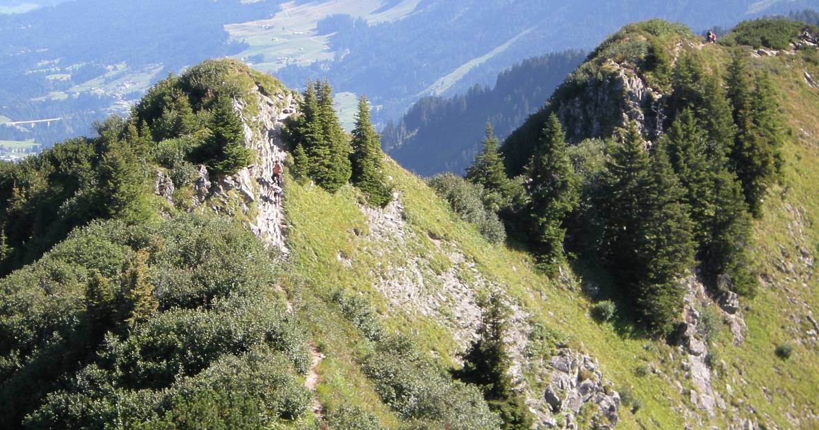 Walmedinger Horn 012