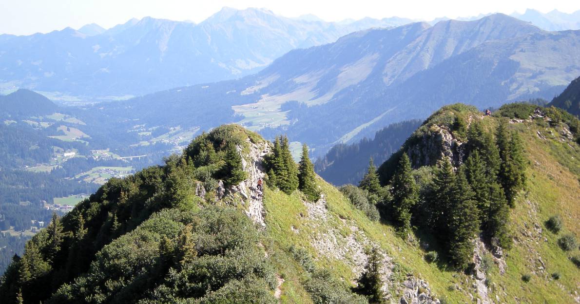 Walmedinger Horn 012a