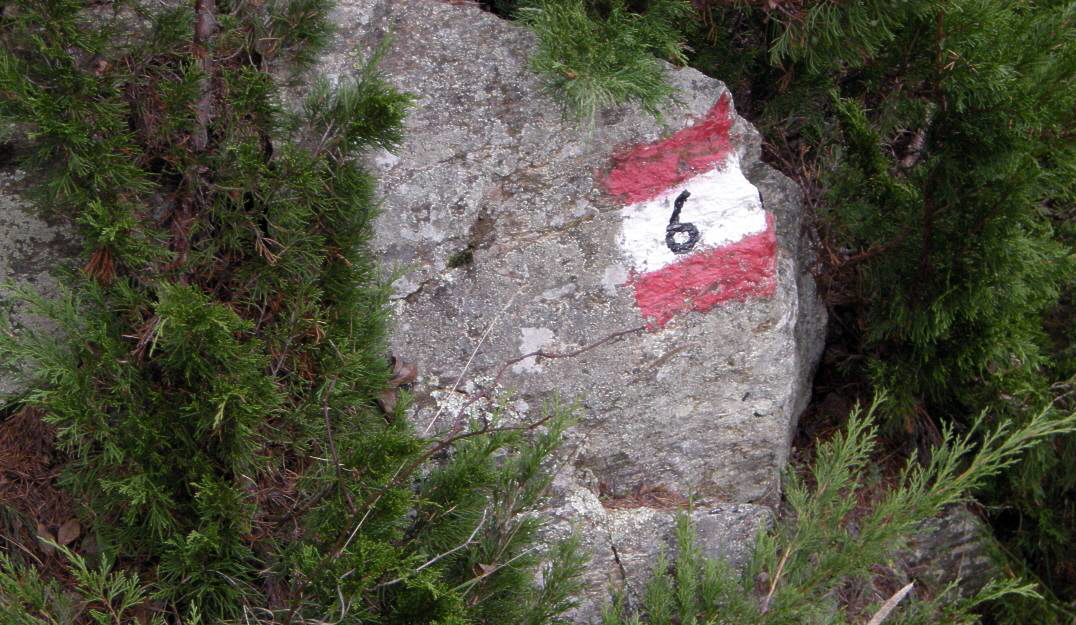 I 29 Weg Nr 6