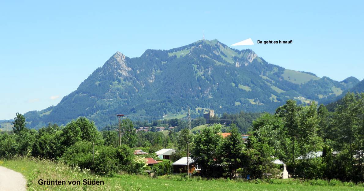 04 gruenten von fischen betrachtet