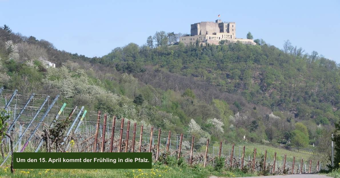 16 Hambacher Schloss