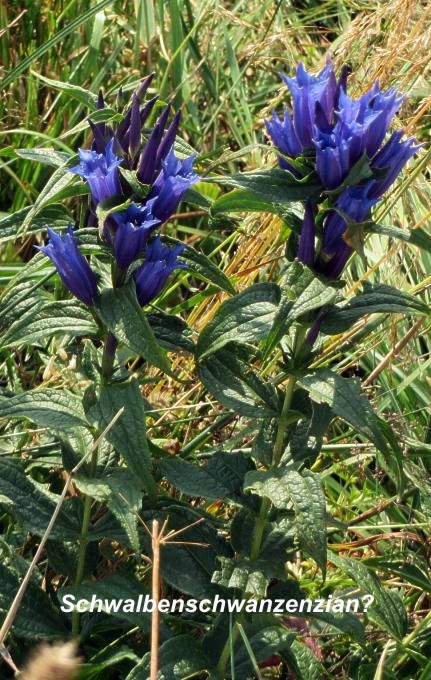 03 Landsberger Huette