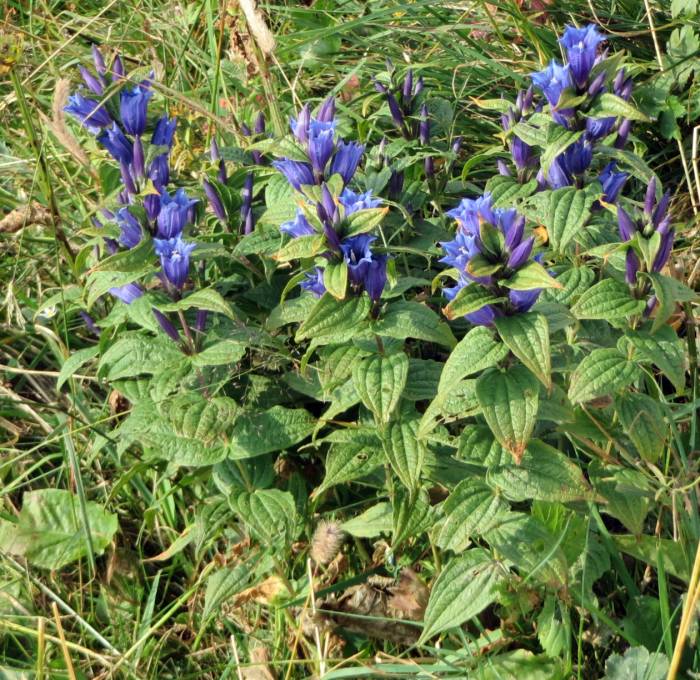 05 Landsberger Huette