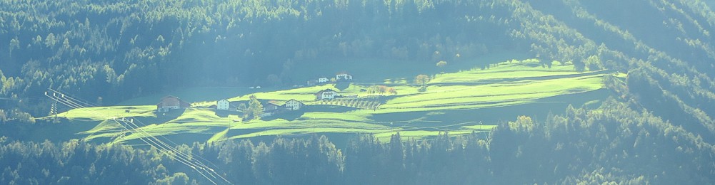 Wiesensiedlung am Berg