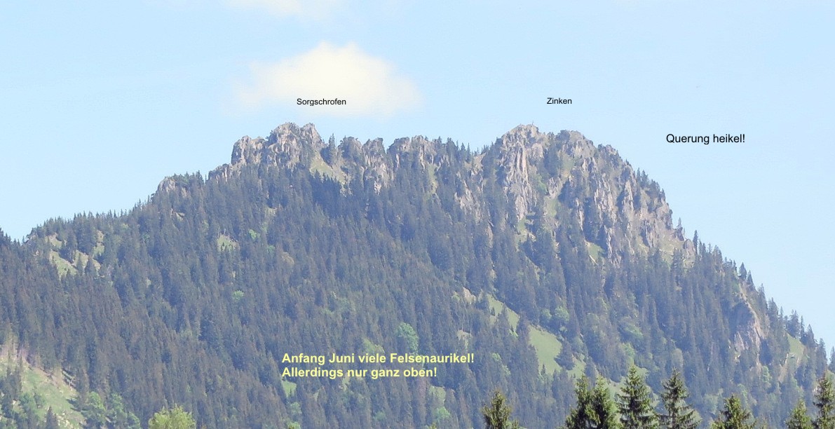 10 Sorgschrofen Zinken 2