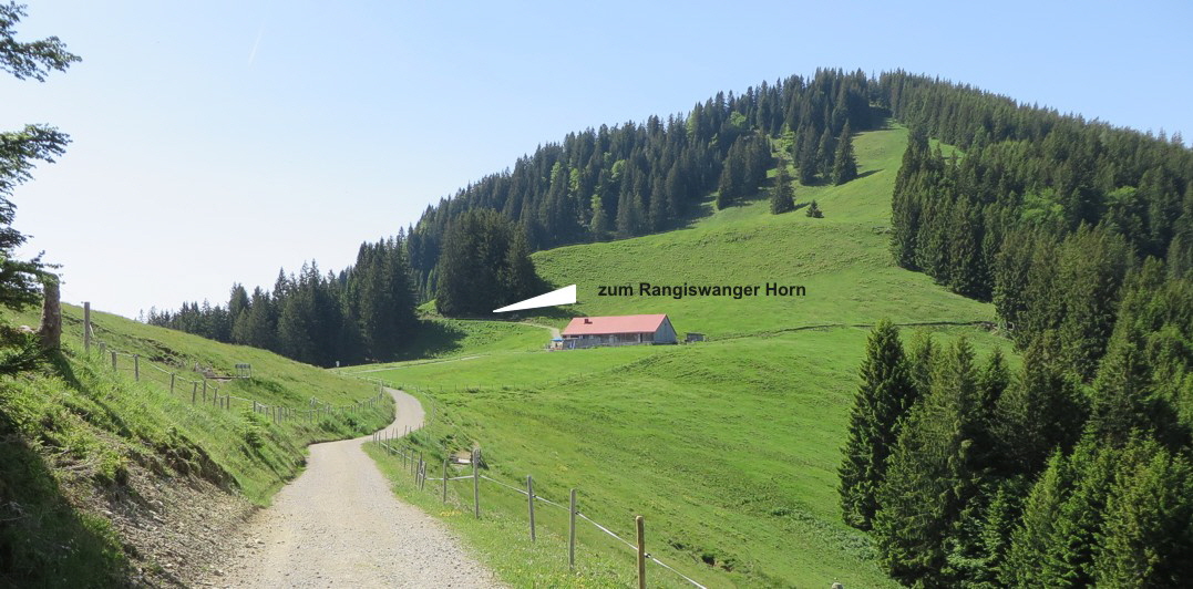 03 zum Rangiswanger Horn