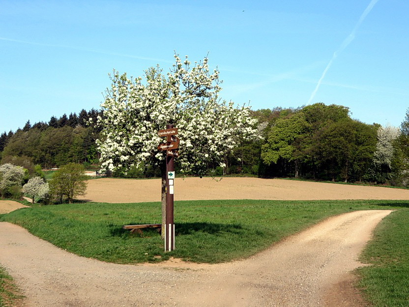 02 Ursenbacher Hoehe