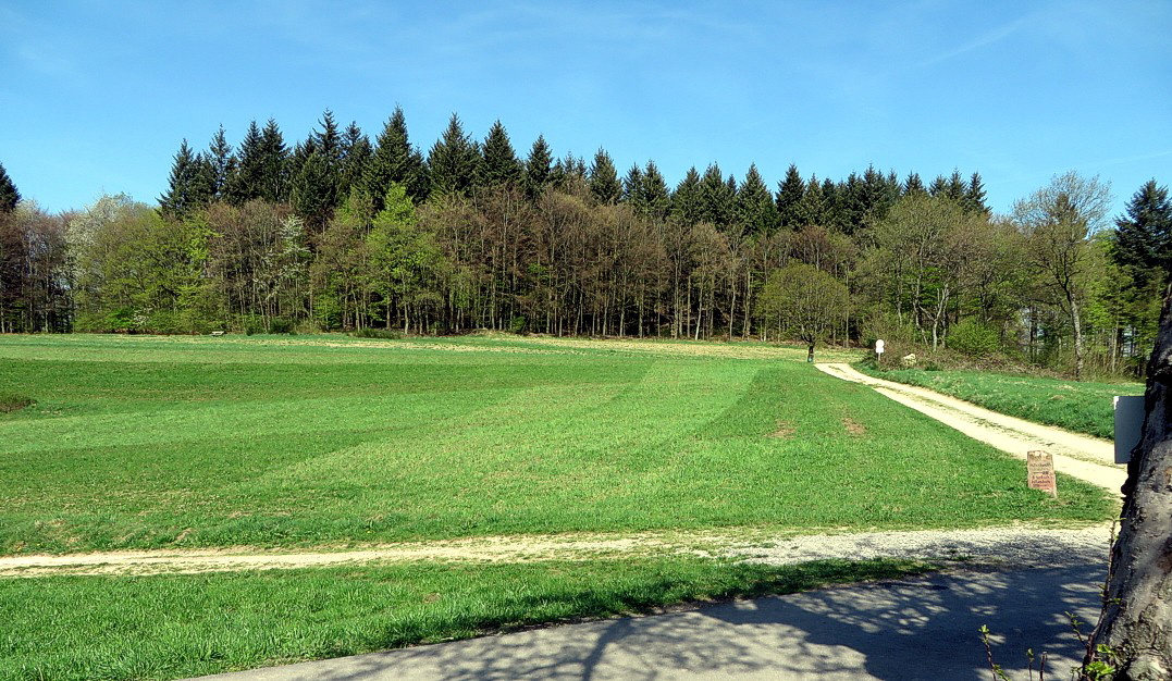 03 Hoher Weg
