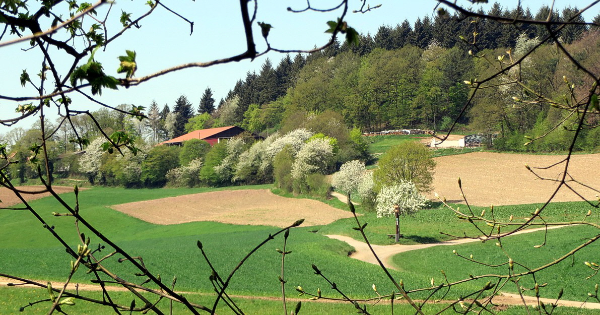 06 Ursenbacher Hoehe