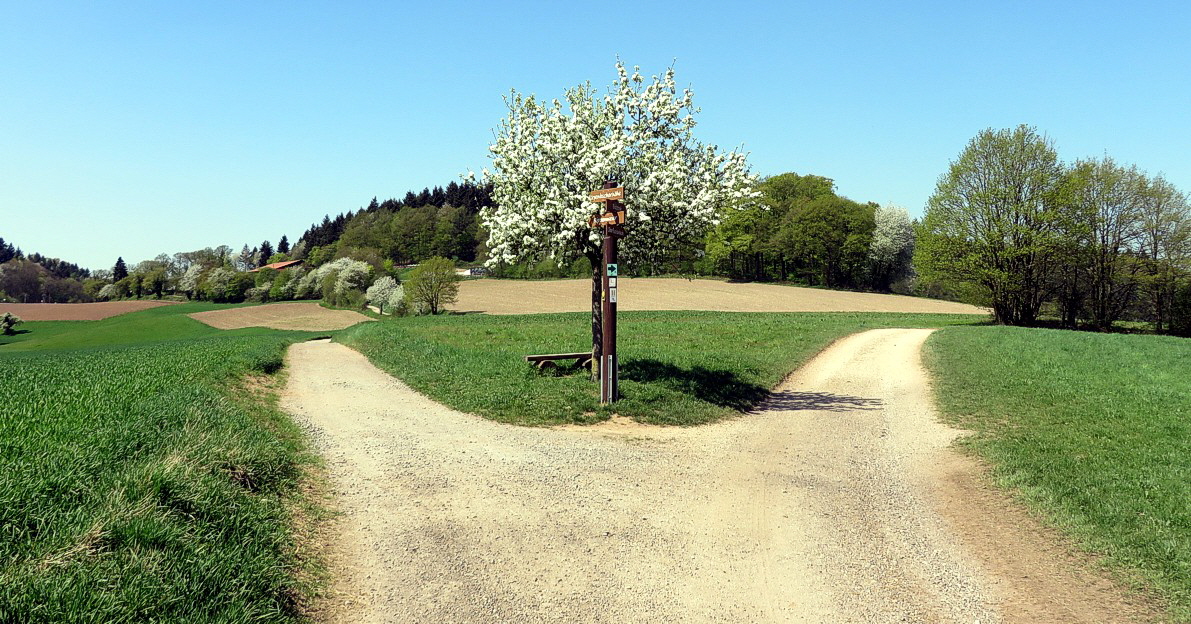 08 Ursenbacher Hoehe