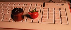 Tomate mit Salz 2